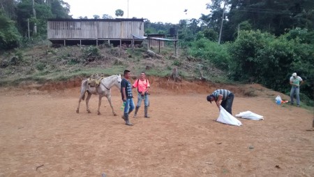 Toma de muestras de suelos para el Estudio y diseño de la cubierta para el Resguardo de Santa Clara Municipio de Santa Rosa Cauca