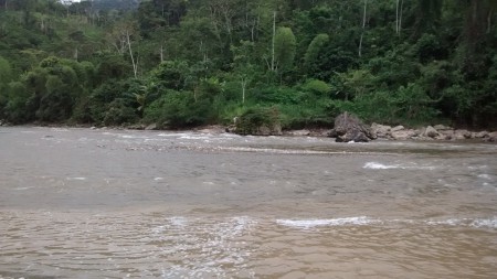 Río Caquetá en el Mpio de Santa Rosa Cauca