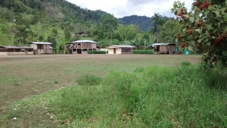 Resguardo indígena de San Carlos Mpio de Santa Rosa Cauca